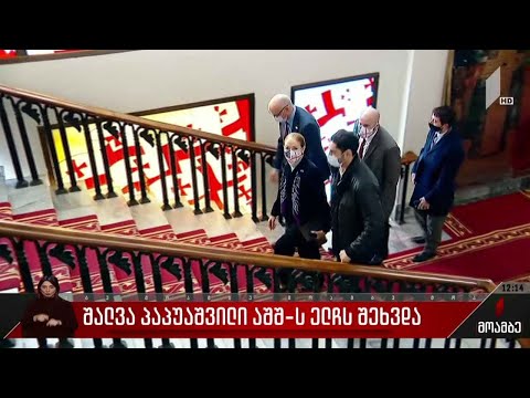 შალვა პაპუაშვილი აშშ-ის ელჩს შეხვდა